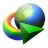 Internet Download Manager indir