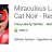 Miraculous Ladybug indir
