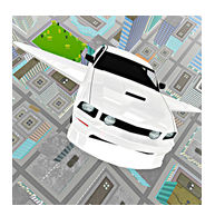 Real Flying Car Simulator Driver indir